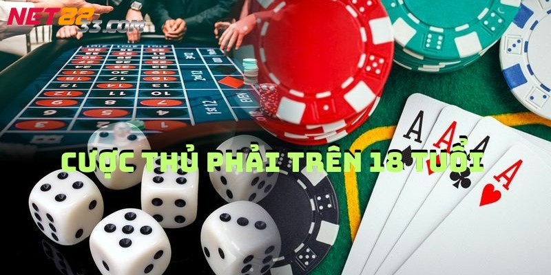 Đăng Ký Net88 - Hướng Dẫn Chi Tiết Và Dễ Dàng Thực Hiện 2 Điều kiện cược thủ phải trên 18 tuổi theo quy định